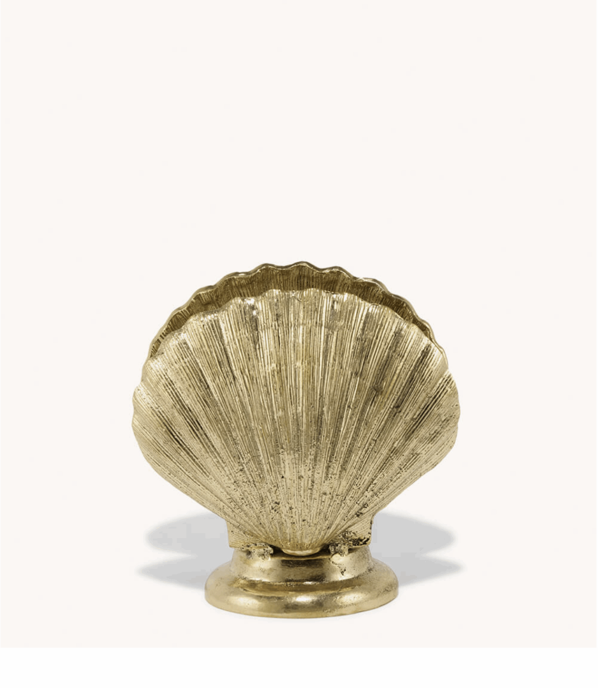 Scarlett Shell Accent Lamp